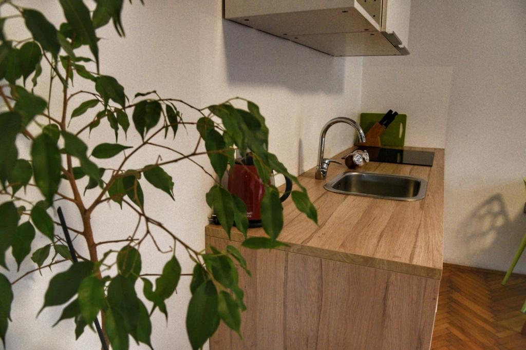 Two Flowers Apartments Ζάγκρεμπ Εξωτερικό φωτογραφία
